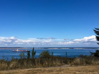 Container ship on sea against sky