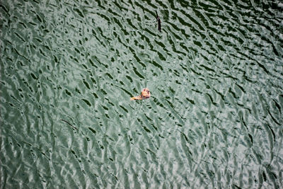 High angle view of person swimming in lake