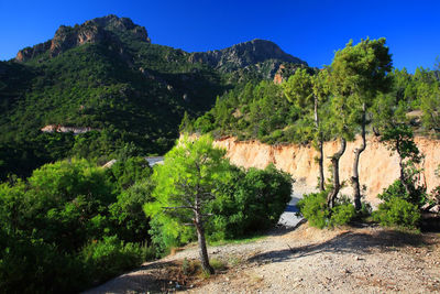 Scenic view of landscape against clear sky