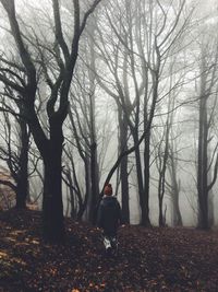 Rear view of boy walking at forest during foggy weather