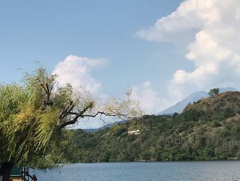 Scenic view of lake by trees against sky