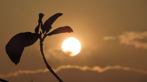 Close-up of sun during sunset