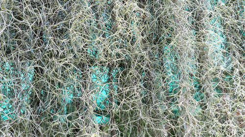 Full frame shot of fishing net
