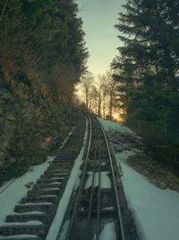 High angle view of railroad tracks amidst trees during winter