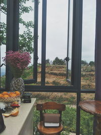 View of potted plants in glass window