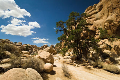 Rocks by trees against sky