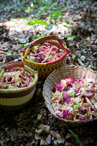 High angle view of pink flowering plants in basket