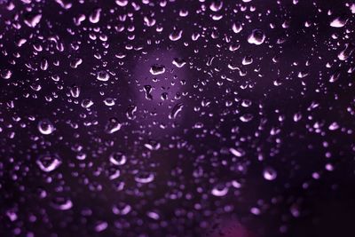 Close-up of water drops on leaf