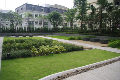 View of garden with buildings in background