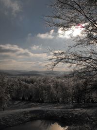 Trees on landscape against cloudy sky