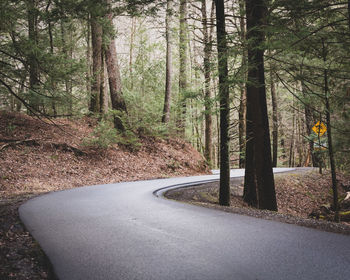 Road amidst trees in forest