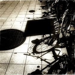 Shadow of tree on the wall