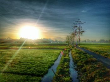 Scenic view of field against sky