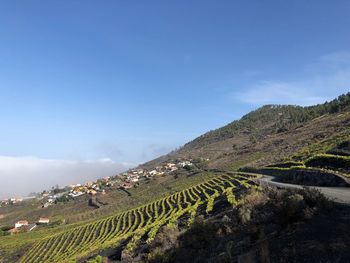 Scenic view of agricultural landscape against sky