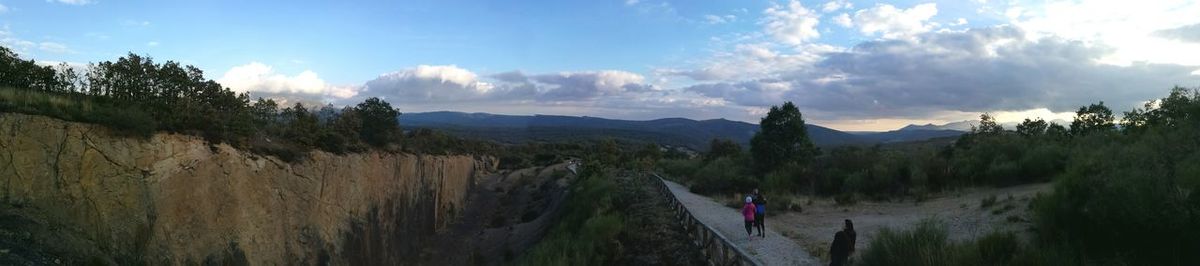 Panoramic view of trees on landscape against sky