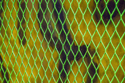 Full frame shot of chainlink fence