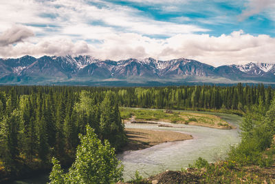 Denali national park, alsaka, nature, landscape, wilderness