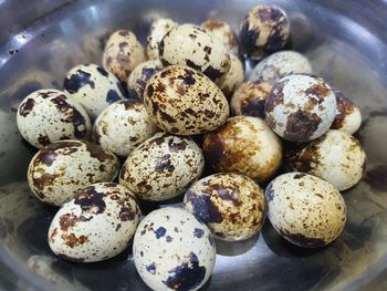 Quail eggs. little egg for cooking. food concept.
