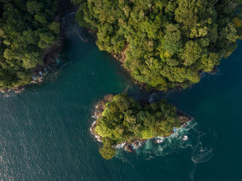 Aerial view of island in sea