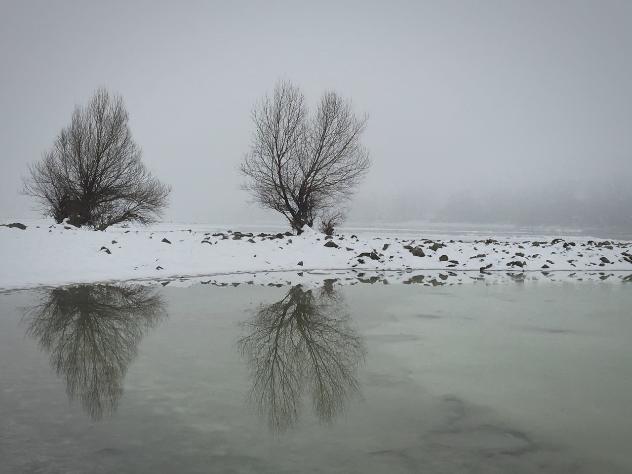 winter, snow, cold temperature, tree, freezing, water, nature, morning, mist, sky, tranquility, scenics - nature, beauty in nature, plant, environment, no people, tranquil scene, frost, fog, frozen, landscape, ice, land, bare tree, lake, non-urban scene, day, outdoors, monochrome, black and white, reflection, branch, animal