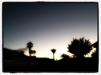 Silhouette palm trees at sunset