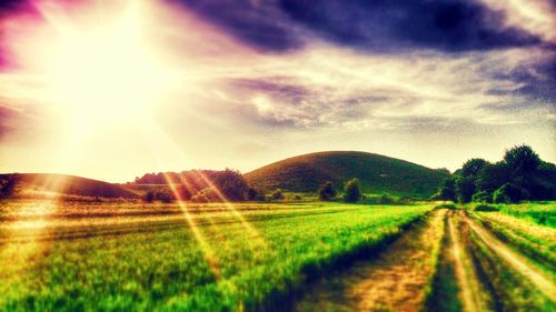 Scenic view of landscape against sky