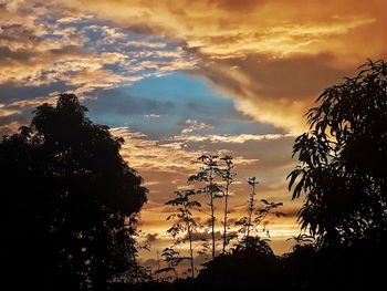 Silhouette trees against sky during sunset