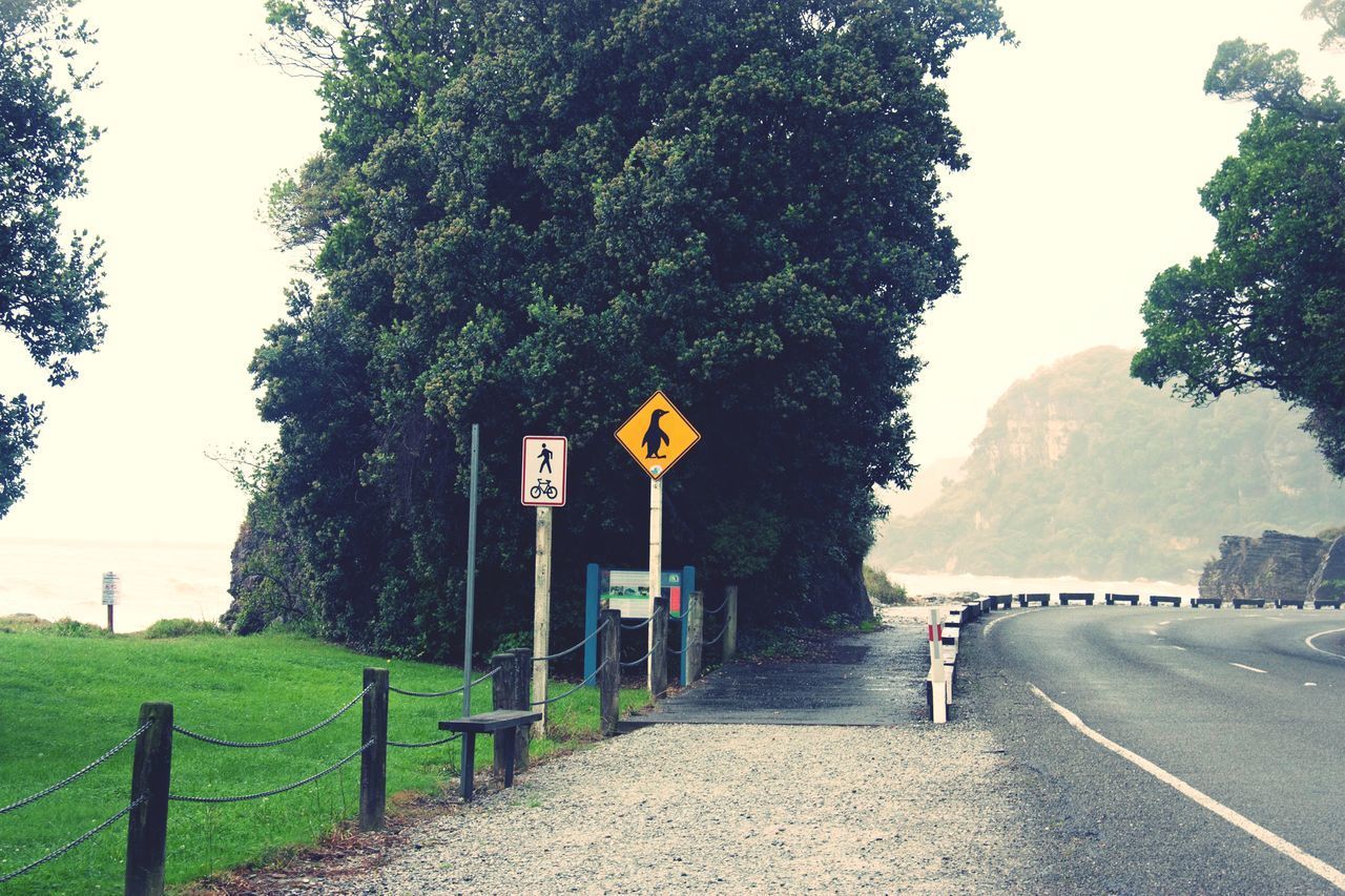 ROAD SIGN AGAINST TREES