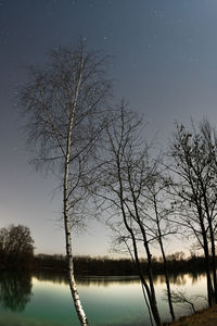 Silhouette bare tree by lake against sky at night