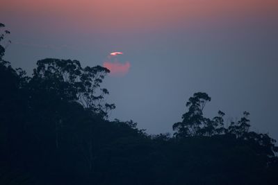 Silhouette trees against sky at night