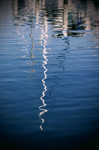 Close-up of swimming in lake