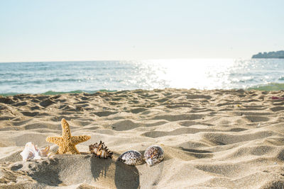 Scenic view of beach against clear sky