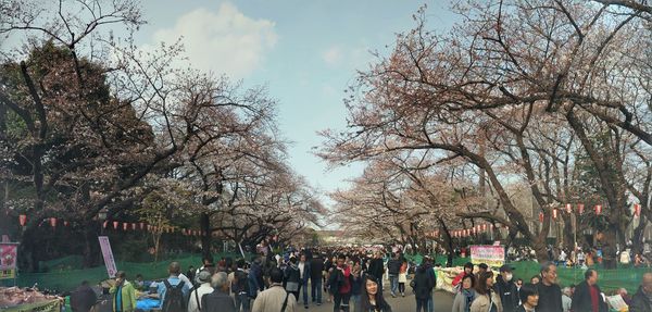 High angle view of people in park