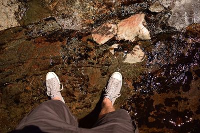 Taking a hike near a stream that flows into lake tahoe 