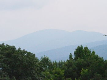 Scenic view of trees and mountains against sky