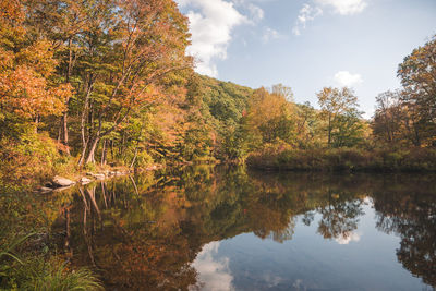 Scenic view of lake by trees in forest against sky