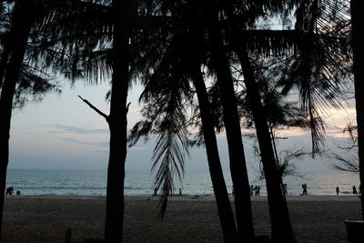 Silhouette trees on beach against sky