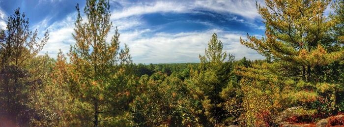 Scenic view of field against cloudy sky