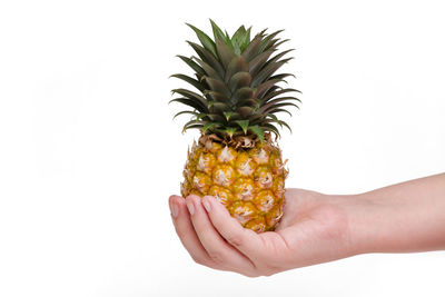 Midsection of person holding apple against white background