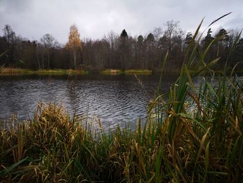 Scenic view of lake against sky