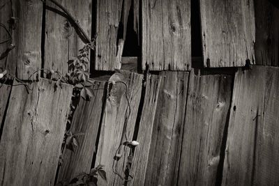 Full frame shot of wood