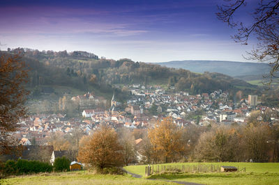 Trees in a town