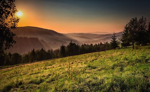 Scenic view of landscape against sky