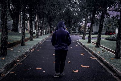 Rear view of man walking on footpath amidst trees