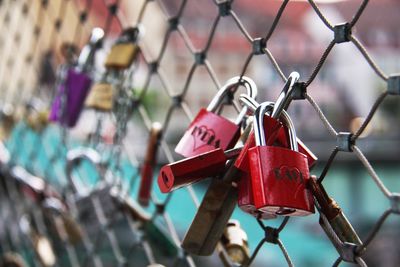 Close-up of padlocks hanging on chainlink fence