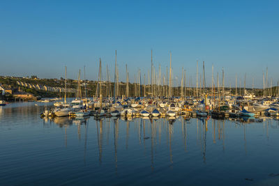 Sailboats moored in harbor
