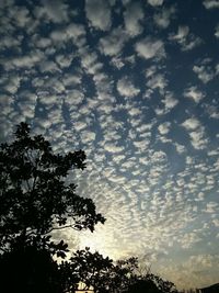 Low angle view of trees against cloudy sky