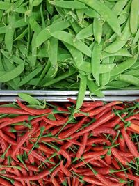 Close-up of red chili peppers