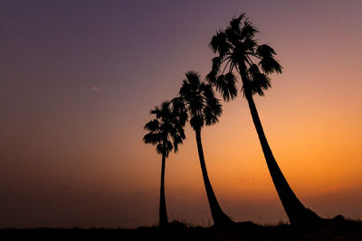 Silhouette palm trees against romantic sky at sunset