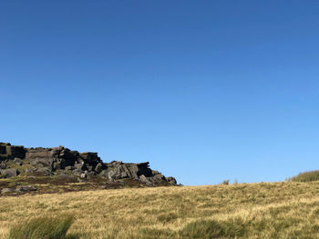 Scenic view of field against clear blue sky